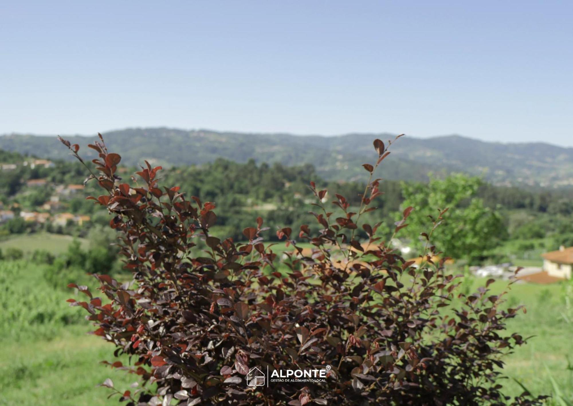 アルコス・デ・ヴァルデヴェス Quinta Da Costeira - Casa Azul Do Limoal By Alponteヴィラ エクステリア 写真